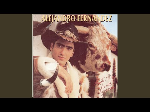 Alejandro Fernández - En cualquier idioma